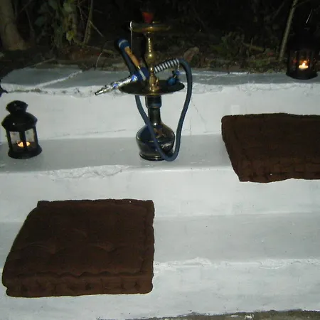 Scotty's Boutique Sofia