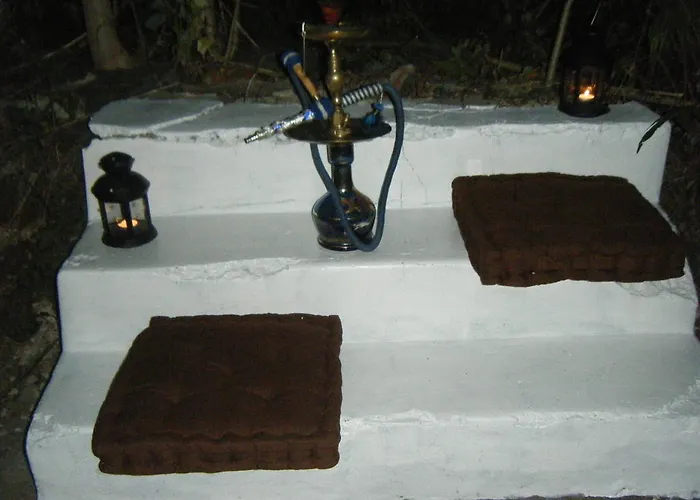 Scotty's Boutique Sofía